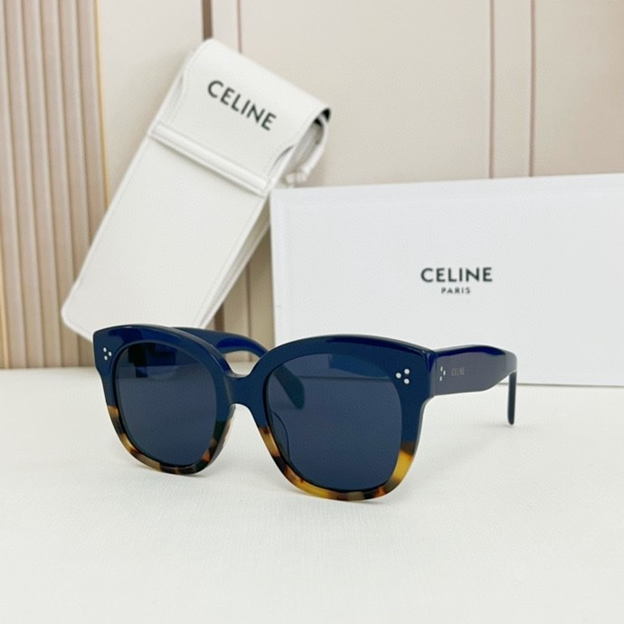 Celine Glasses smx (1293)